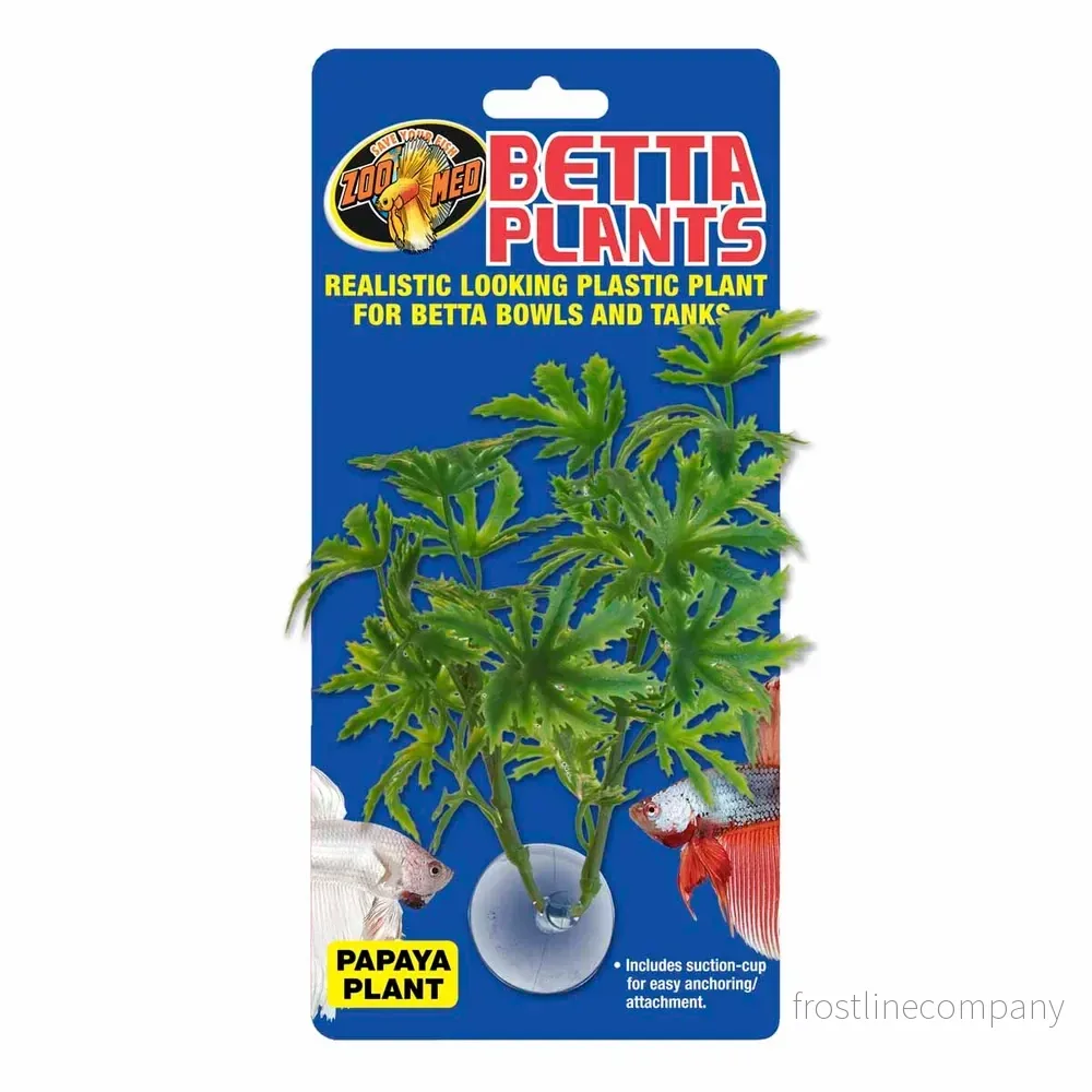 Zoo Med Betta Plant Papaya – Plastväxt med sugkopp ca.13cm - Bild 3