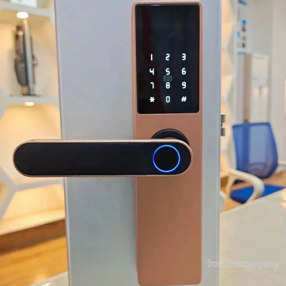 Smart Dörrlås med Fingeravtryck – Fingeravtryckslås för Trädörr – Kod, Kort, Nyckel – Svart & Roséguld – Graffiti WiFi & Tuya