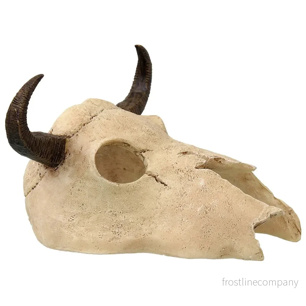 ReptiPlanet Small Buffalo Skull 12,5×11,8x8cm