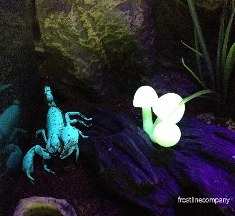 Exo Terra Scorpion Light 2W - Bild 2