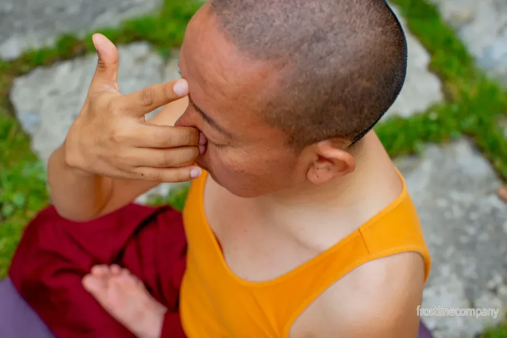 Lung Jong Pranayama – med Dolpo Tulku Rinpoche - Bild 2