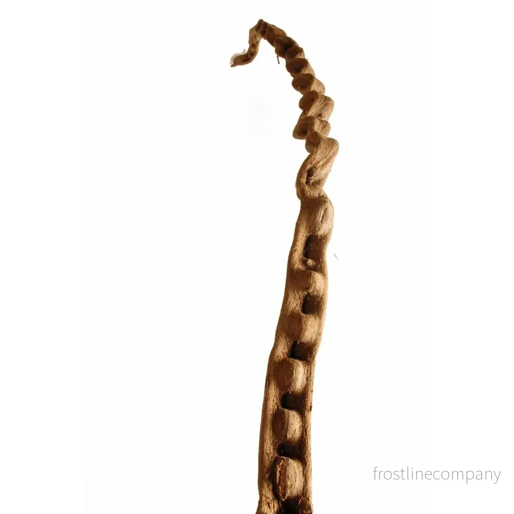 Lian 200cm Ø5-6cm