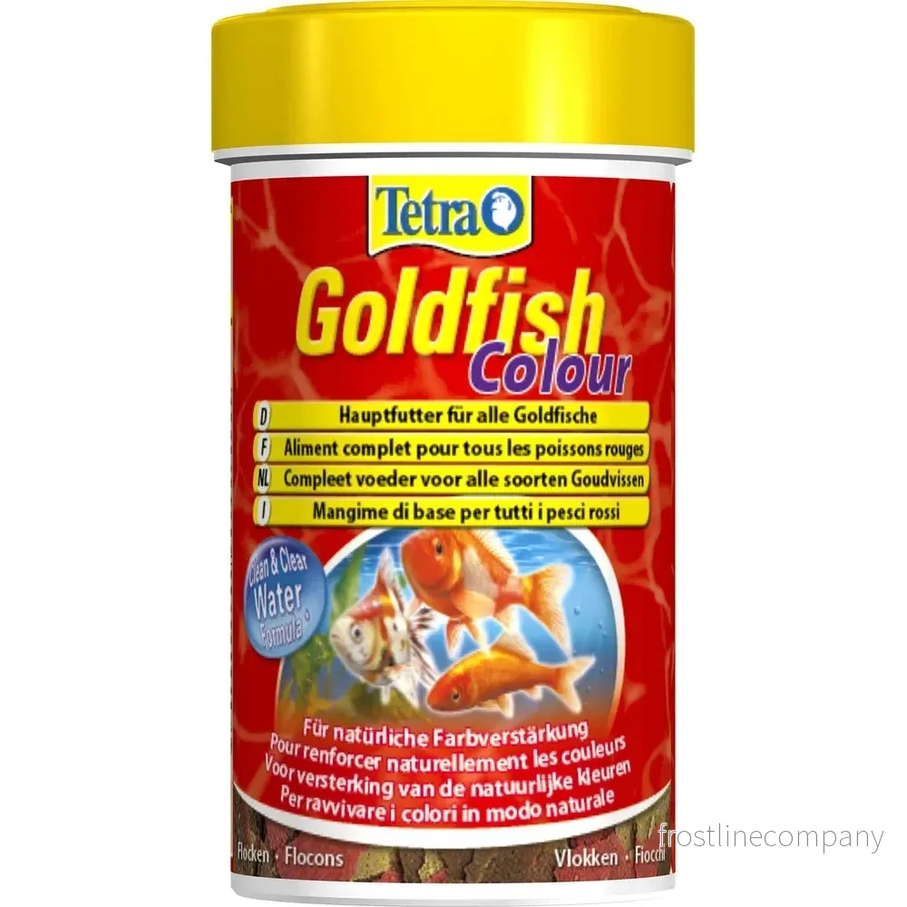 Tetra Goldfish Colour Tetra Goldfish Colour