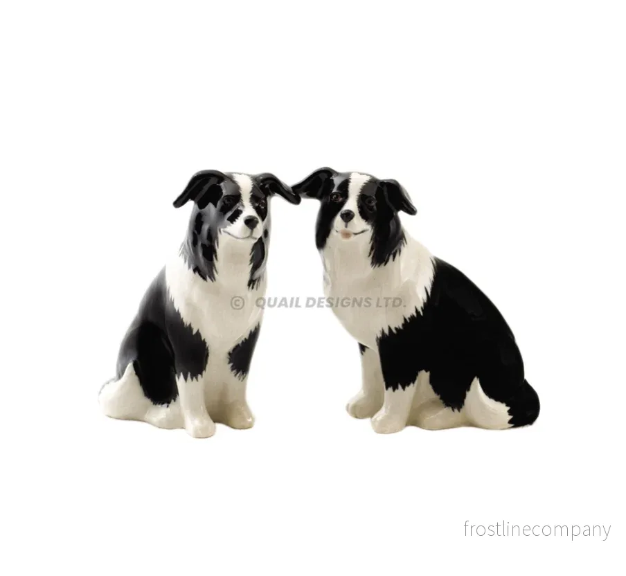 Salt och peppar Border Collie Salt och peppar Border Collie
