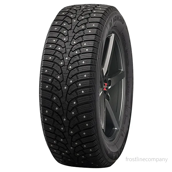 Tesla Model 3 – Nankang SW-9 235/45R18 98T