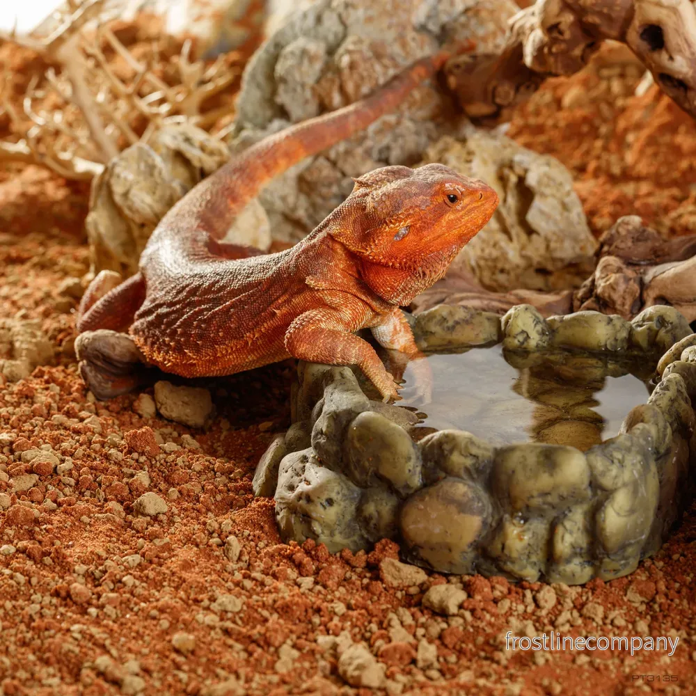Exo Terra Stone Desert Outback Red - Bild 3
