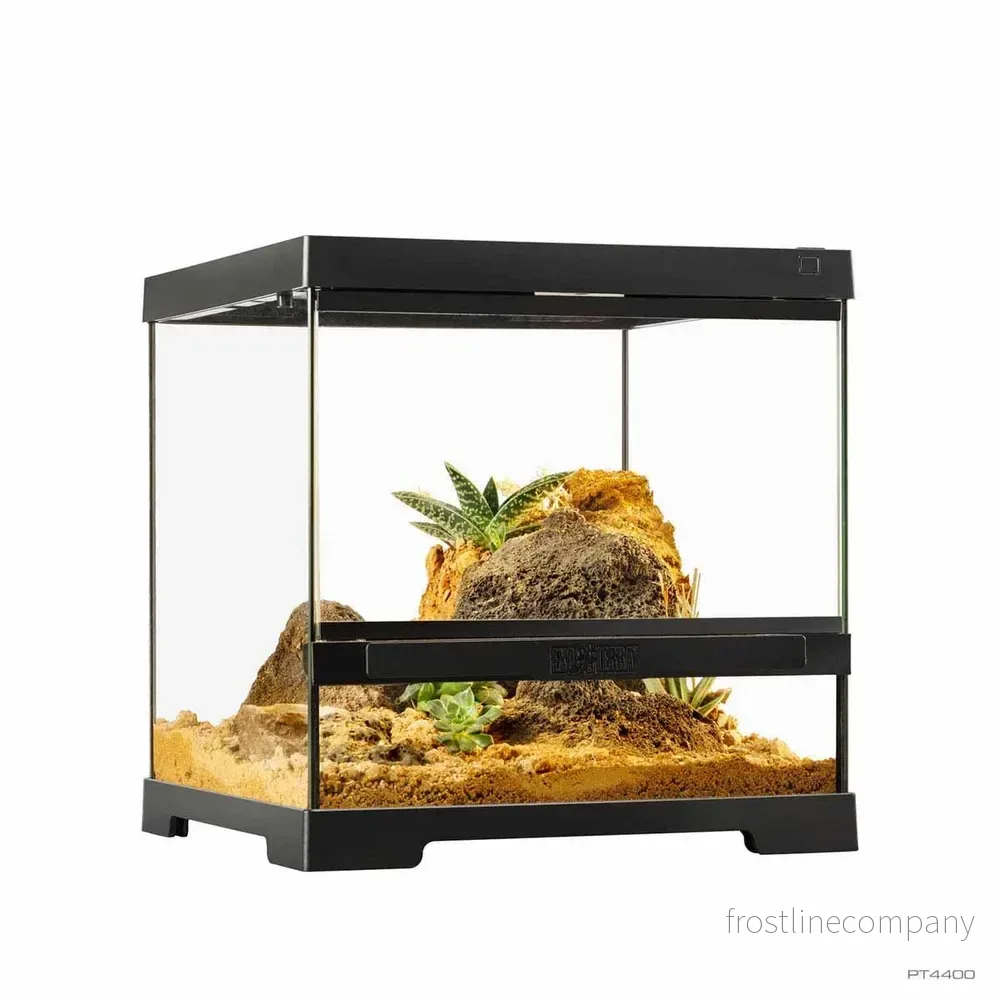 Exo Terra Pro Terrarium X-Small Wide – Glasterrarium 30×30×30cm Exo Terra Pro Terrarium X-Small Wide – Glasterrarium 30×30×30cm