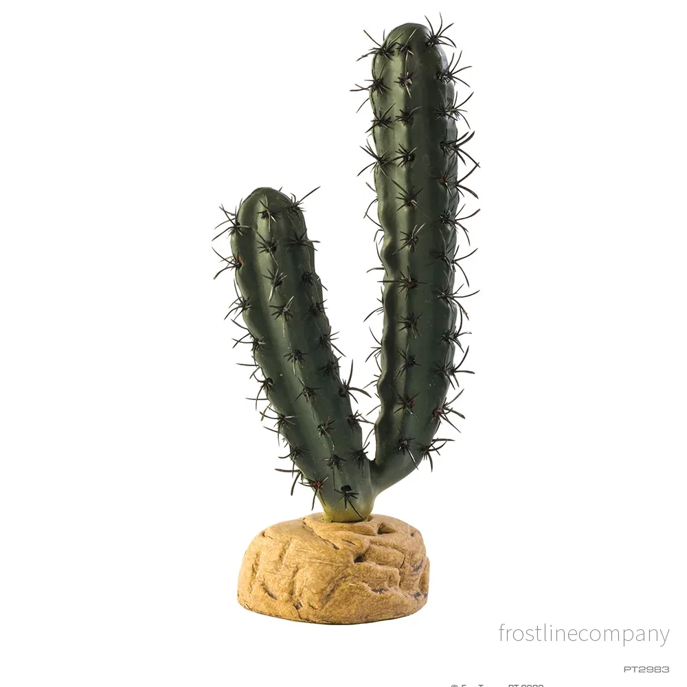 Exo Terra Finger Cactus Exo Terra Finger Cactus
