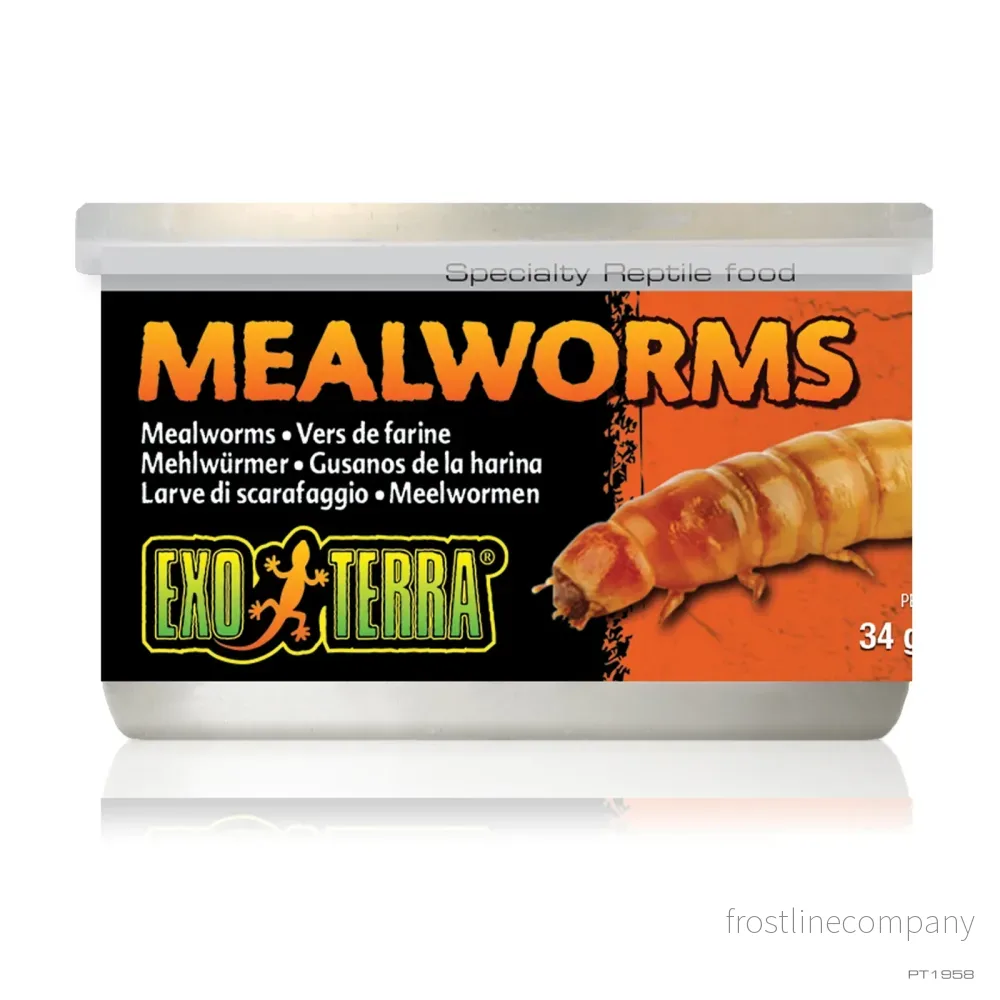 Exo Terra Mealworms 34g Exo Terra Mealworms 34g