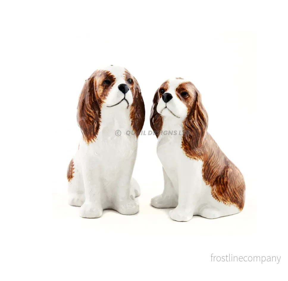 Salt och peppar Cavalier King Charles Salt och peppar Cavalier King Charles