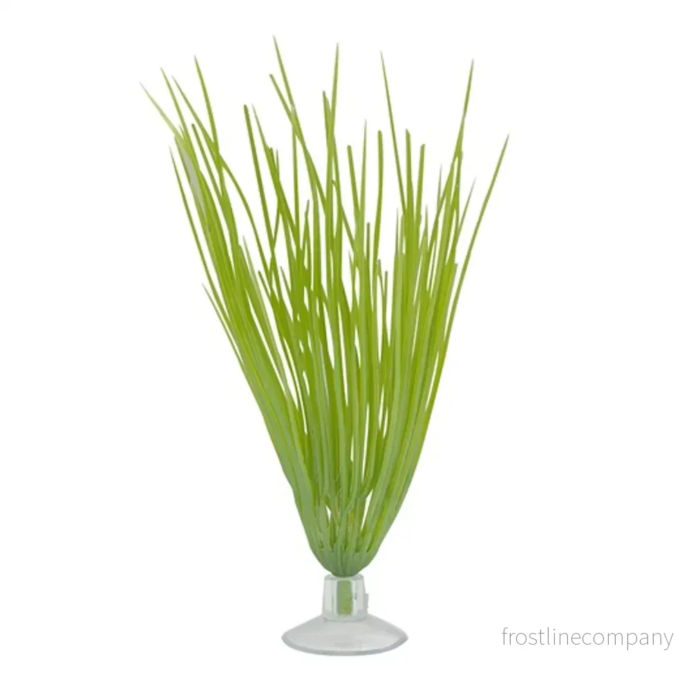 Marina Betta Plastväxt Hairgrass Mini med sugkopp 10cm – Tunn bakgrundsväxt för nanoakvarium Marina Betta Plastväxt Hairgrass Mini med sugkopp 10cm – Tunn bakgrundsväxt för nanoakvarium