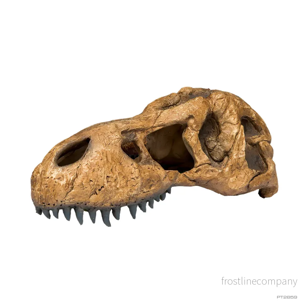 Exo Terra T-Rex Skull - Bild 2