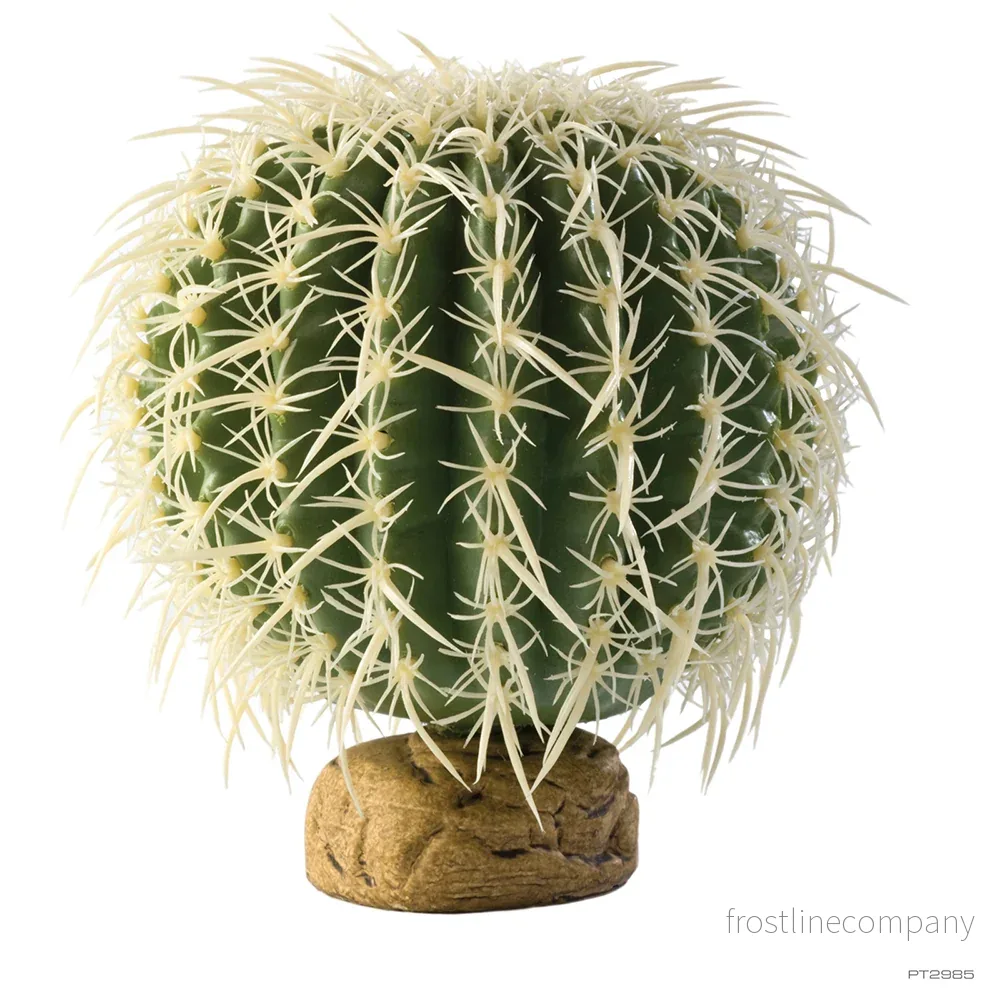 Exo Terra Barrel Cactus - Bild 2