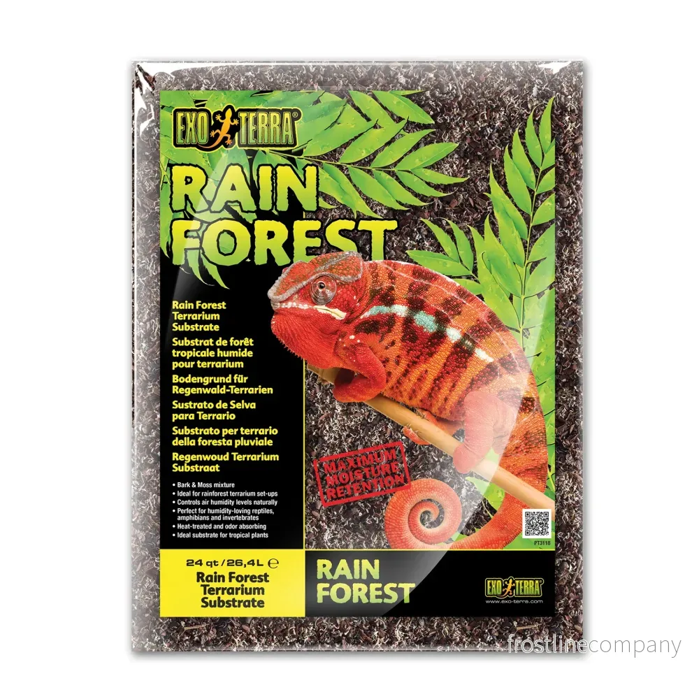 Exo Terra Rain Forest - Bild 3