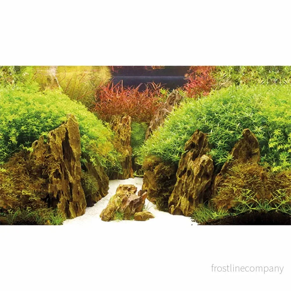 Dubbelsidig akvariebakgrund med naturmotiv – 60cm hög, säljs som metervara - Bild 2