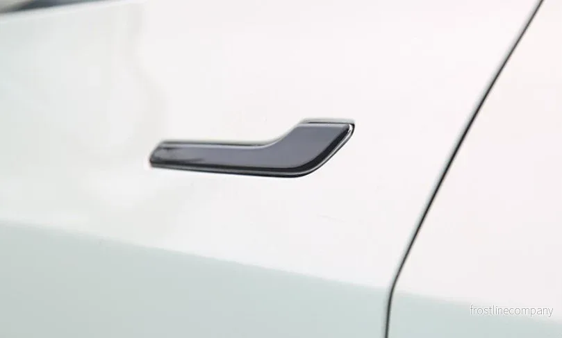 Tesla Model 3/Y – skydd för dörrhandtag - Bild 2