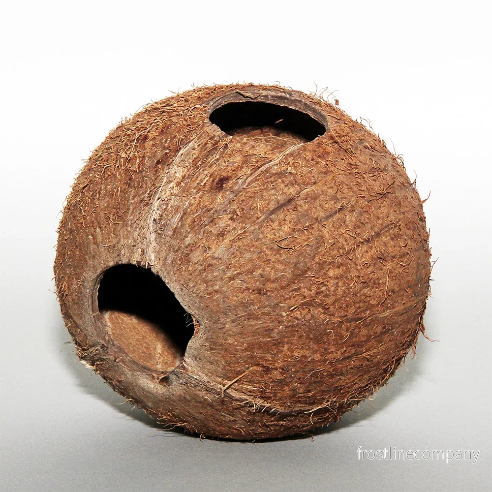 JBL Cocos Cava 1/1 Large - Bild 2
