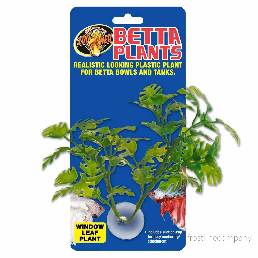 Zoo Med Betta Plant Window Leaf ca.13cm – Sugkoppsväxt för Betta & nanoakarium - Bild 2