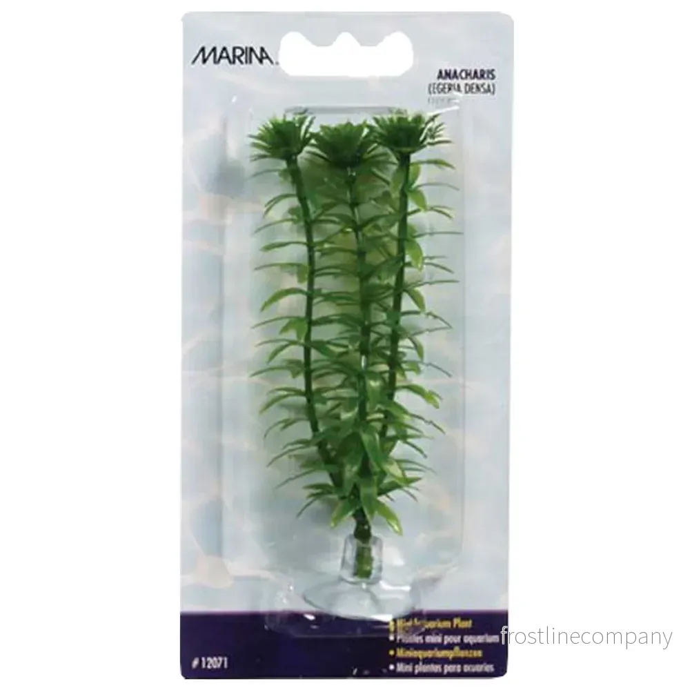 Marina Plastväxt Anacharis Mini 10cm – Med sugkopp Marina Plastväxt Anacharis Mini 10cm – Med sugkopp