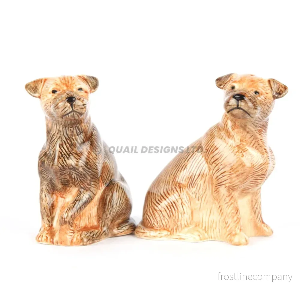 Salt och peppar Borderterrier Salt och peppar Borderterrier